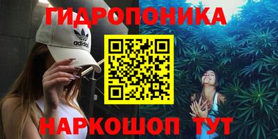 скорость Будённовск
